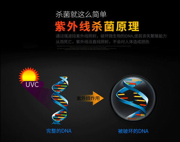 5_副本.jpg 5_副本.jpg