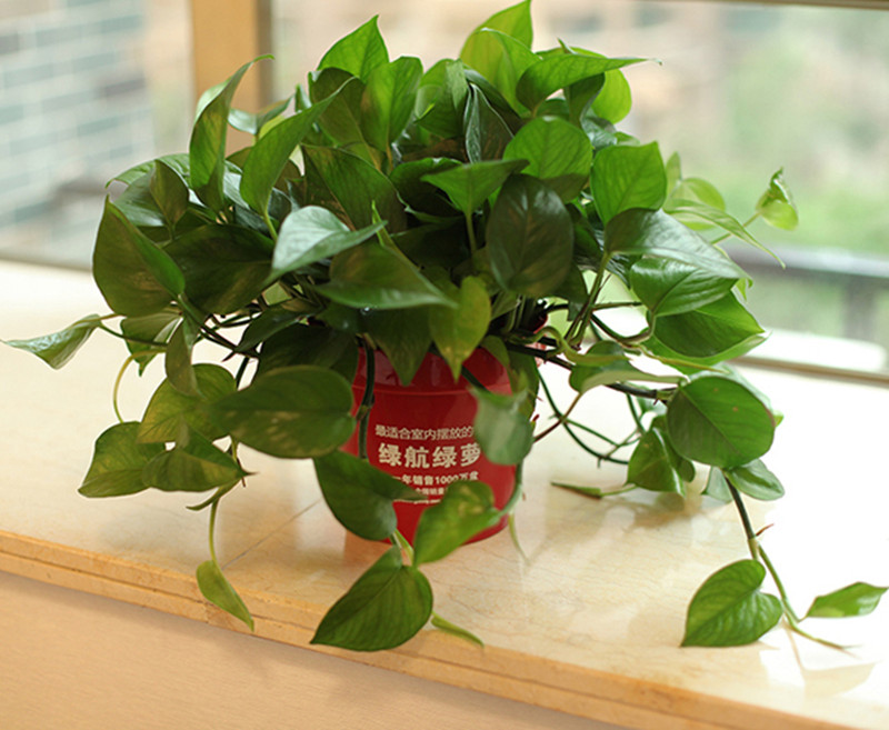 3_副本.jpg 3_副本.jpg